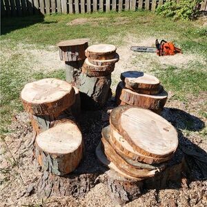 Natural Wood Log Slices